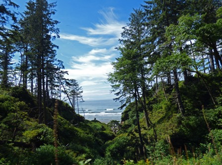 View of the Pacific near Ruby Beach, Olympic National Park