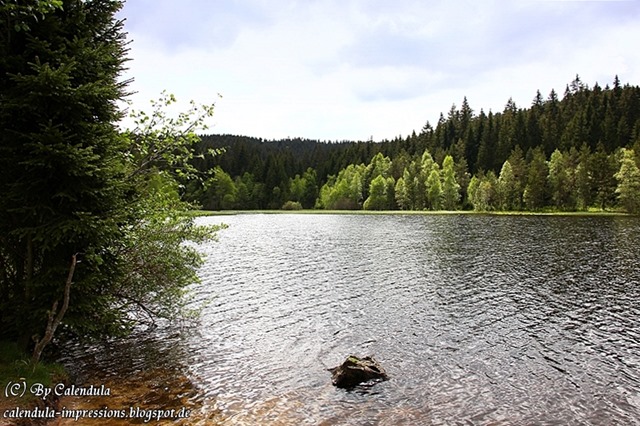 Windgfällweiher Seerundgang