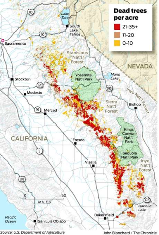 Density of dead trees per acre in California's Sierra Nevada range, in 2016. Graphic: John Blanchard / San Francisco Chronicle