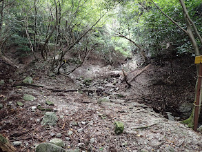 荒れた道に（沢を進む）