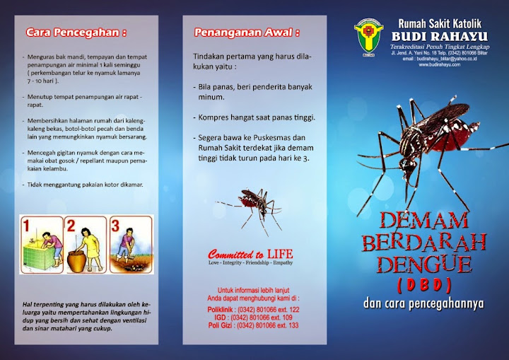 RSK BUDI RAHAYU BLITAR  Promkes  Demam Berdarah Dengue