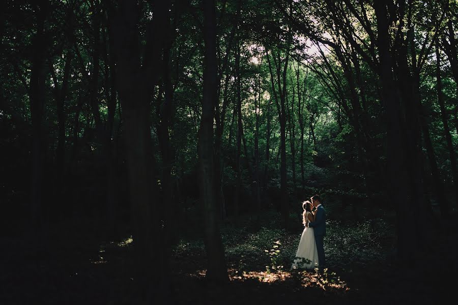 Fotograful de nuntă Zsolt Sári (zsoltsari). Fotografia din 29 iunie 2018