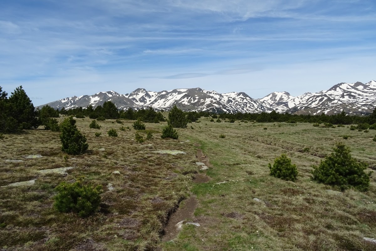 DSC02394.JPG