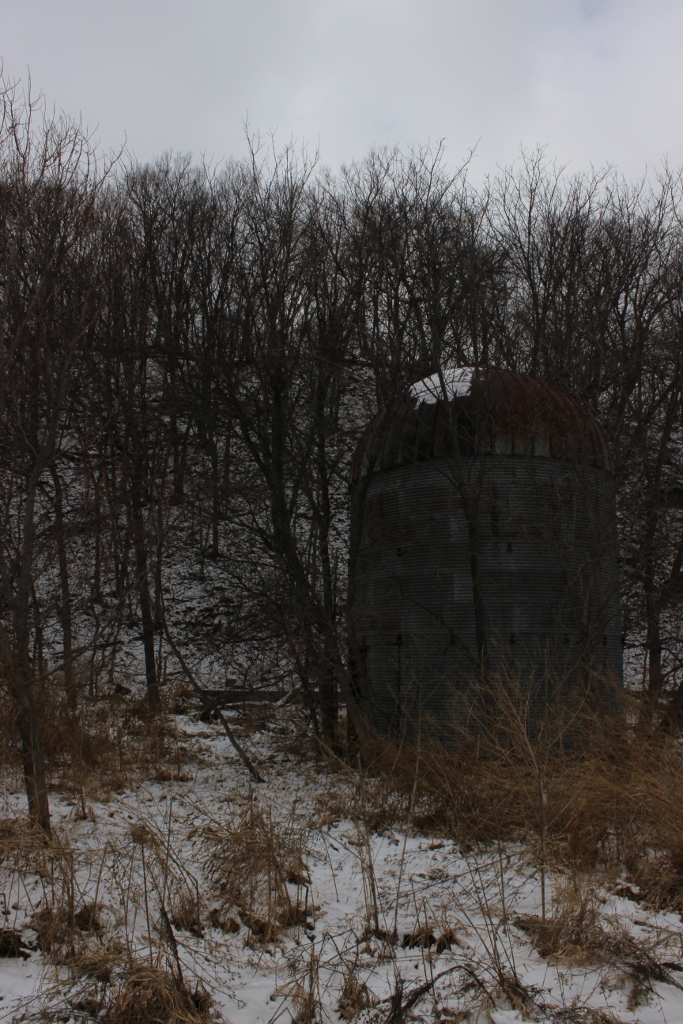 IMAGE: https://lh3.googleusercontent.com/-RUQje6RzLJ8/UTzvmRo2j7I/AAAAAAAACm4/jcuMZXSZP7I/s1024/IMG_0701a.JPG