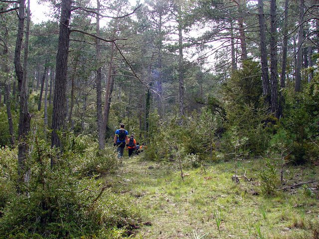 Senderismo - Coll de la Creu - Punta Boixet - Alt de la Coscollosa - Barranc de la Coscollosa