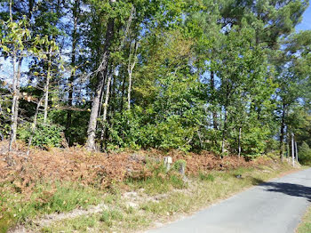 terrain à Eyraud-Crempse-Maurens (24)