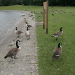 Parc Départemental de la Courneuve Georges Valbon