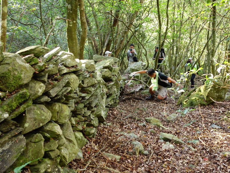 2014_0101-0105 萬山神石、萬山岩雕順訪萬頭蘭山_0227