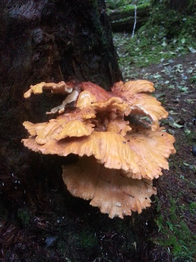 Photos of Appleton Creek