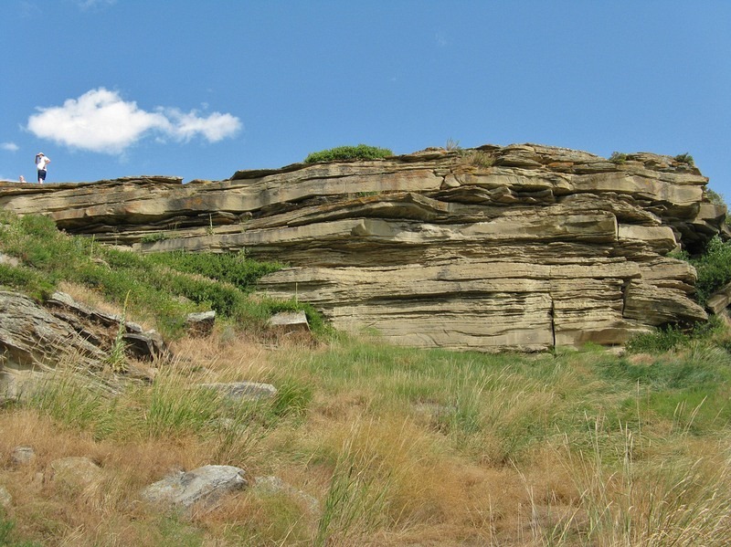 buffalo-jump-8