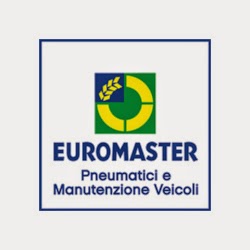 Euromaster Samgomme logo