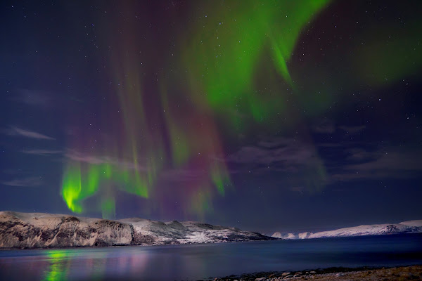 Nordlys di Giulia Ahdieh