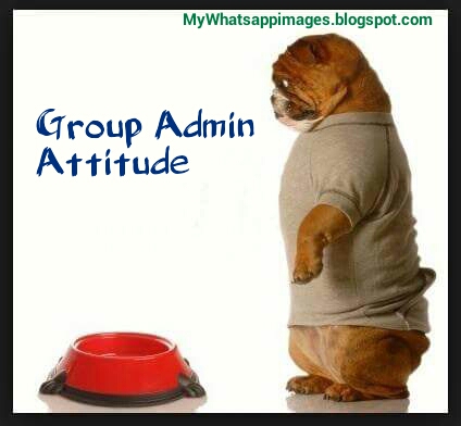 Group Admin Insult Funny Images Collection Group Admin Insult