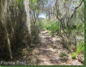 Rodman florida trail