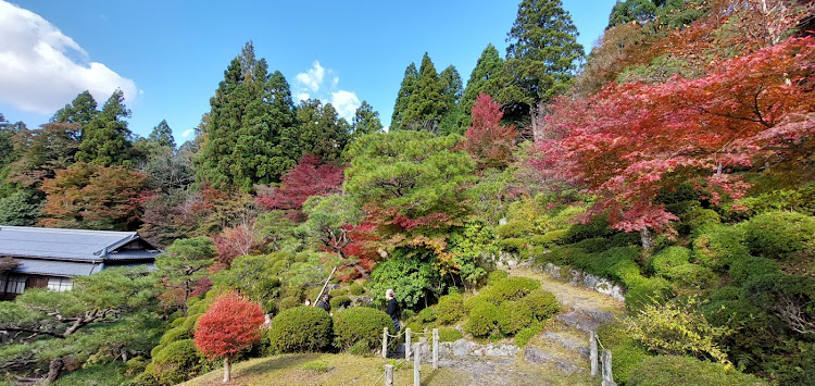 の投稿画像3枚目