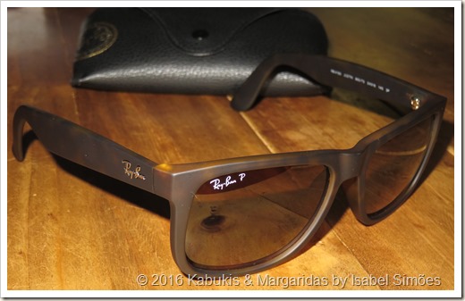 Ray Ban Justin Classic