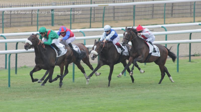 Photos Chantilly 12-07-2015 IMG_2731