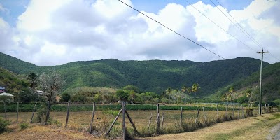Photos of Cades Bay Agricultural Station