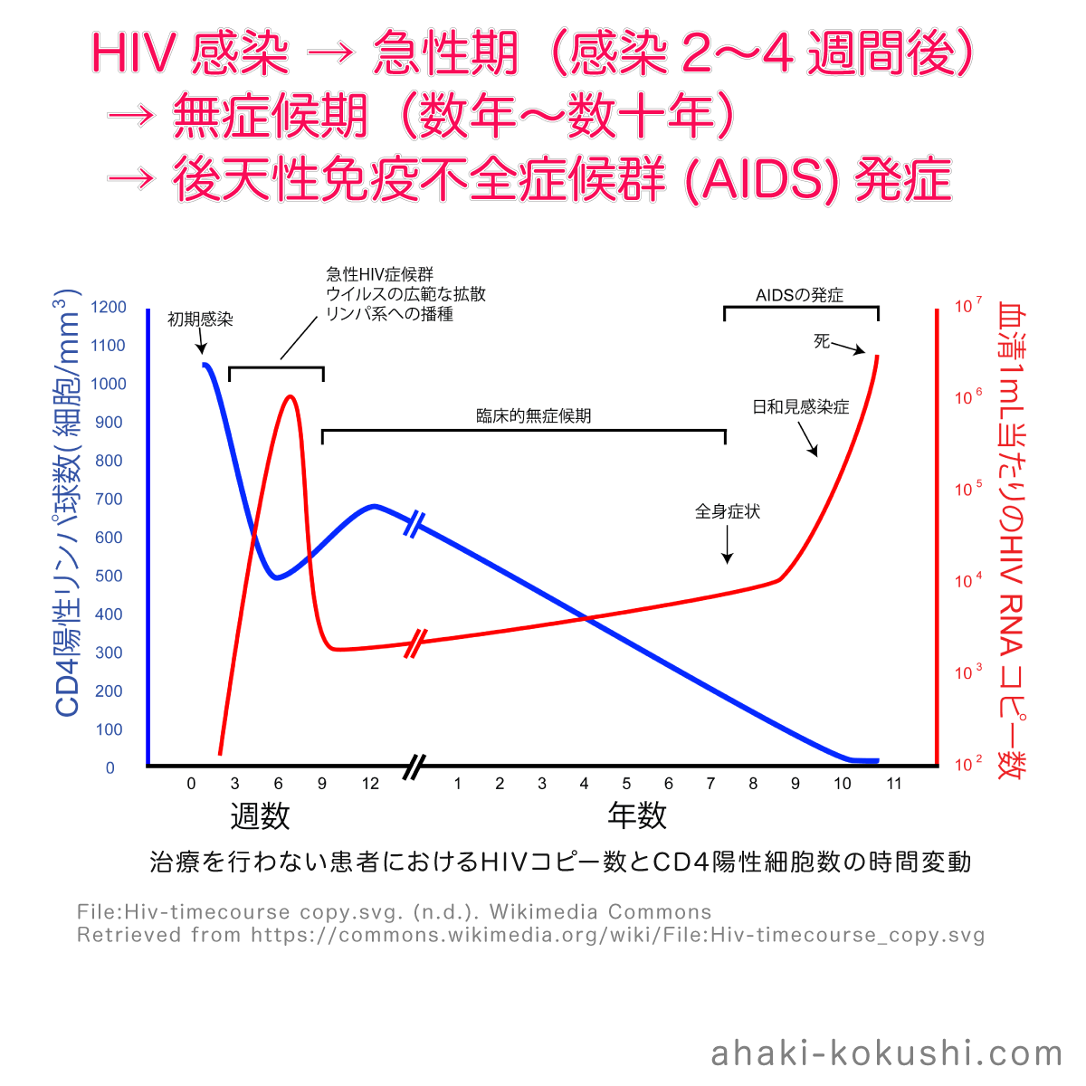 後天性免疫不全症候群 Aids エイズ あはき国試対策 徹底的教科書主義