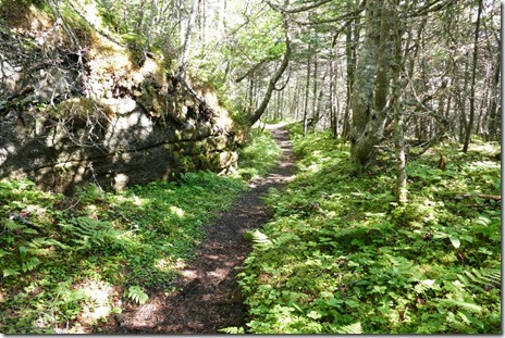 nl_cowhead_dorset_trail3