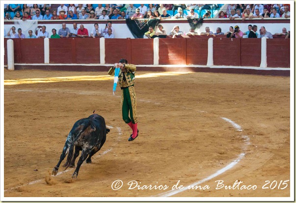 Toros Feria 2015-9856