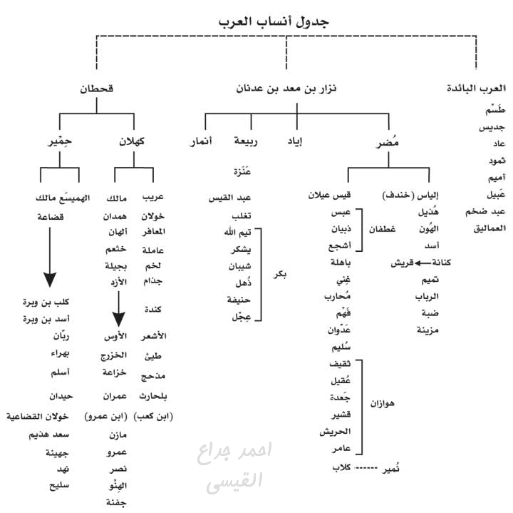 قبائل بني قيس في العراق نوفمبر 2016