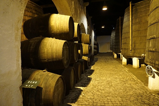 파일:wine cellar.jpg