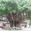 16abr macau2011 (303).JPG