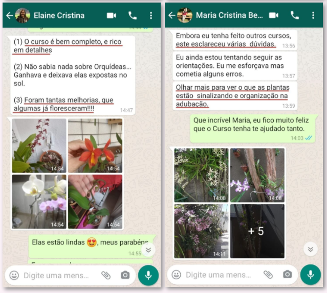 orquídeas, como cuidar de orquídeas, orquídeas vanda, negocio próprio, renda extra, trabalhar em casa, dinheiro extra, liberdade financeira, curso de orquídeas, orquidários