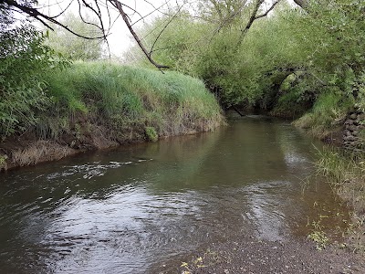 Photos of Jovali