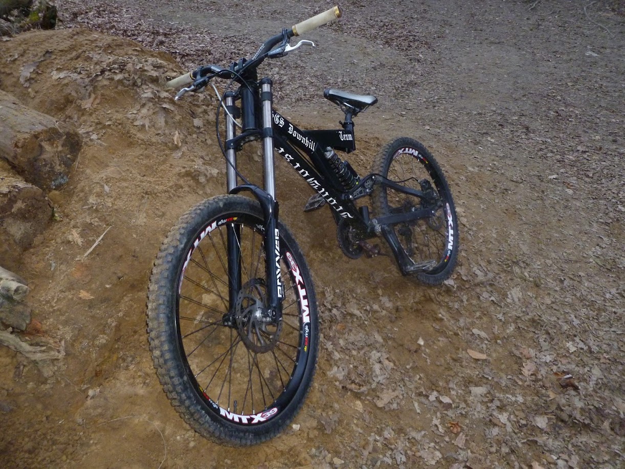 Iron Horse SGS Team Downhill 2004 Mountainbike.nl