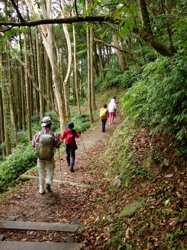 2013_1207 東滿步道→拉卡山→北插天山水源地_155