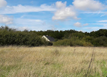 terrain à Notre-Dame-d'Oé (37)