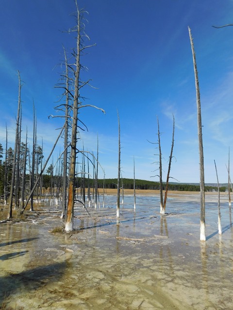 C255_USA WY Yellowstone NP Midway Geyser Basin_2018-09-26_DSCN2883