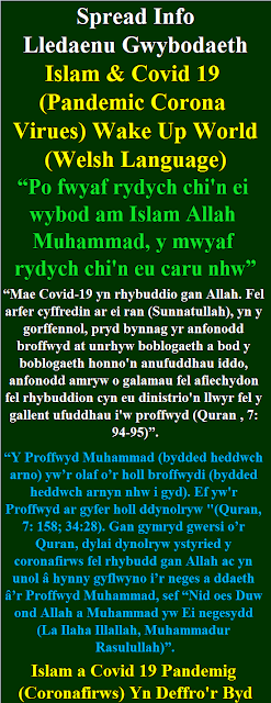 Islam a Covid 19 Welsh Language Pandemig Coronafirws Yn Deffro'r Byd