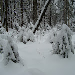 ГАБО_трасса 8 декабря 2012