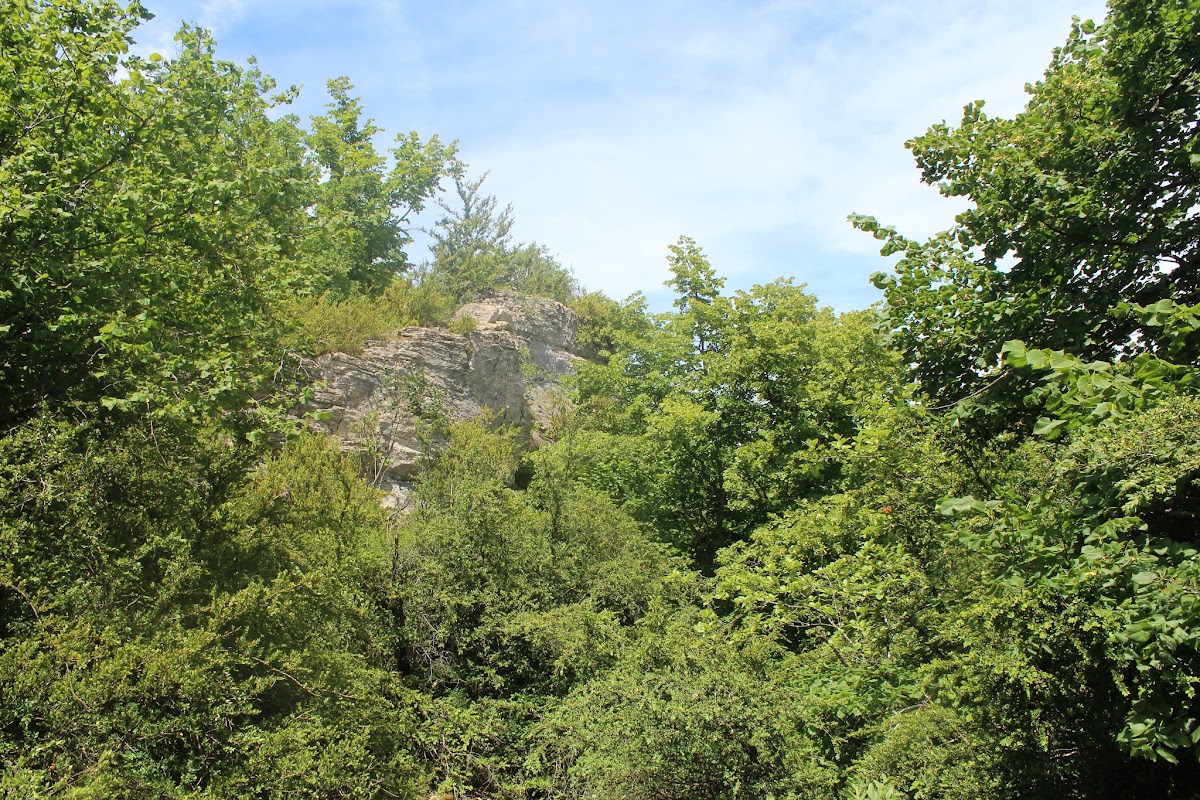 Torcieux - La Croix des moines - Les Moines - le près Charvet IMG_3347