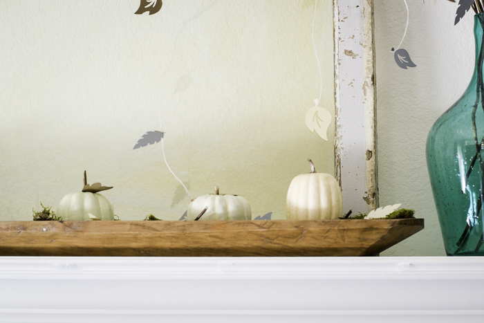 French Loaf Dough Bowl with Pumpkins. French Loaf Dough Bowl with Pumpkins