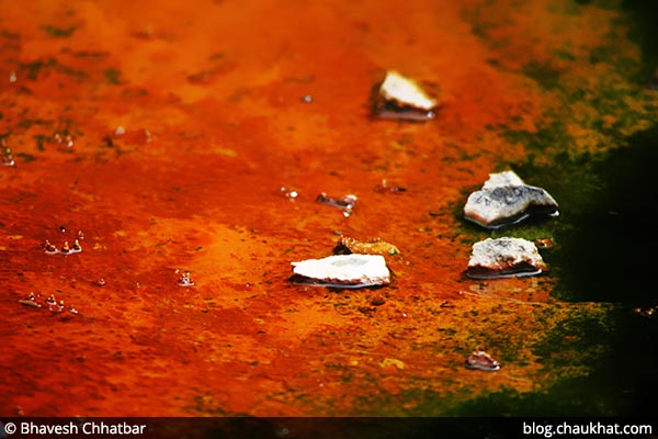 Color of hot water bacteria, algae and micro-organisms in Waimangu Stream [Frying Pan Lake overflow stream] at Waimangu Volcanic Valley in New Zealand