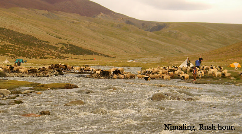 NimalingRush Hour