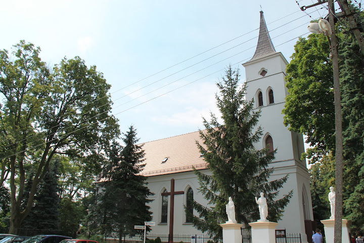 Konojad
