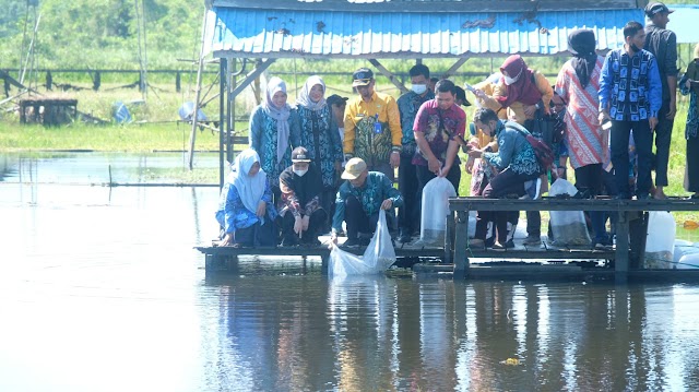 22.000 Benih Ikan Gabus Dilepas di Danau Baruh Bahinu Dalam