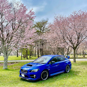 WRX S4