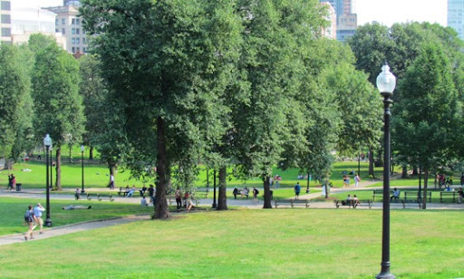 BostonCommon%252526PublicGarden-1-2015-07-6-19-29.jpg