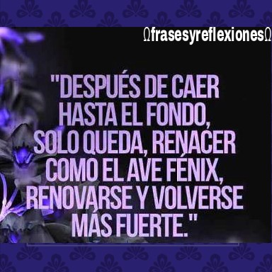 Frases & Reflexiones✓: Caer y levantarse te vuelve mas fuerte