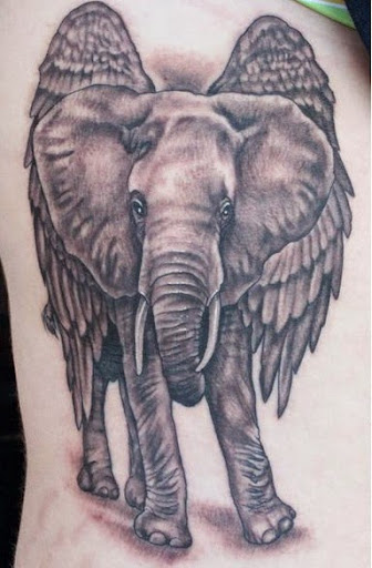 elephant tattoos