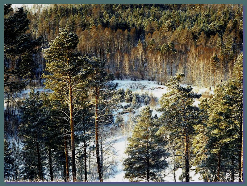 Опубликованное фото