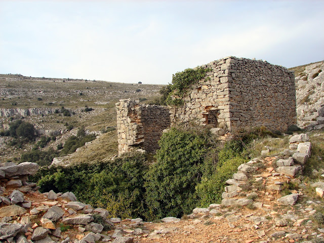 senderismo - Catí - Tossal de la Nevera - L'Avellà PR-CV 410