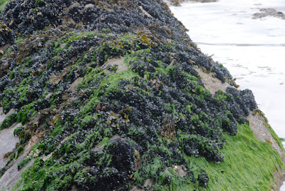 At Pier Cottage, County Kerry, Ireland