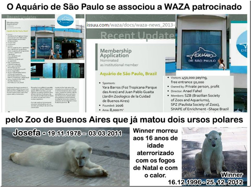 aquario-waza